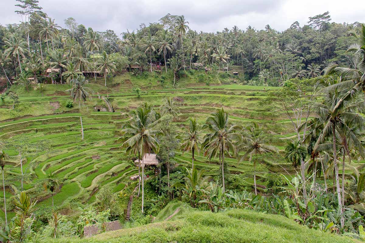 Mindful Bali
